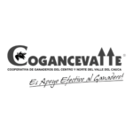 clientescyoingeniería12